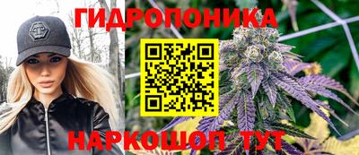 spice Кулебаки