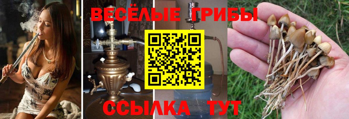 Верхняя Салда  Галлюциногенные грибы MAGIC MUSHROOMS  Вход с VPN  Псилоцибиновые грибы Cubensis 