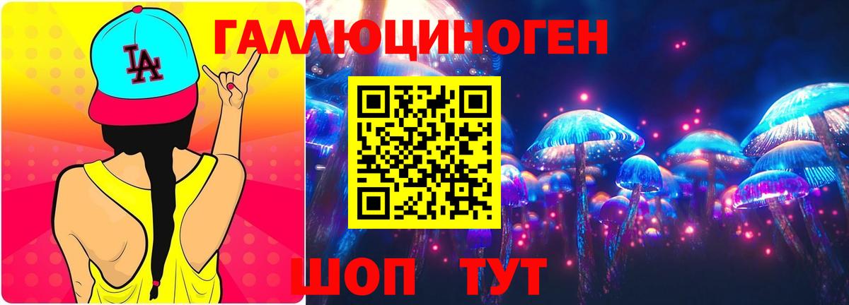 Псилоцибиновые грибы Psilocybe Верхняя Салда
